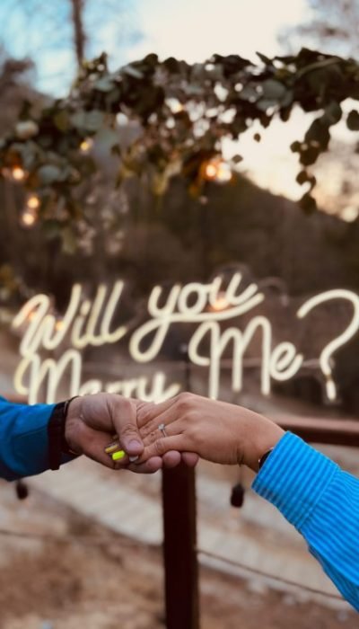 2ed736c1-780c-435b-9955-878cf1f2608c