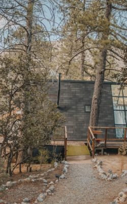 d0f58d61-60c9-4c55-a1f6-9973889c3d74