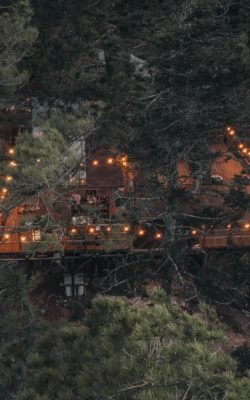 f22d10f7-1567-453b-b6ef-a2e861cea361